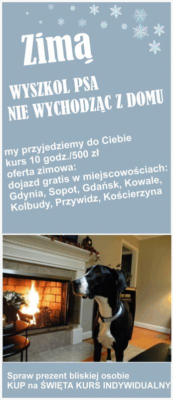 szkolenie psa szkolenie psa